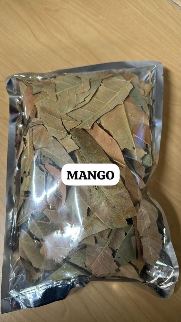 Fèy Mango