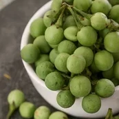 Grenn Zanmoret & Fey la SECH